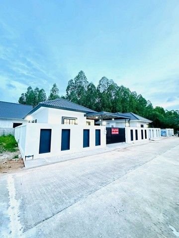 ขายบ้าน - บ้านเดี่ยวสร้างใหม่ หลังใหญ่, หัวมุม, มีพื้นที่เหลือเยอะมาก สามารถทำสระได้