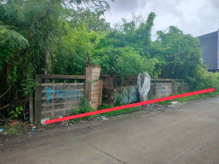 ขายที่ดิน - ขายถูกที่ดิน ซอยเฉลิมพระเกียรติ ร.9 48 แยก13 แขวงดอกไม้ เขตประเวศ กรุงเทพฯ