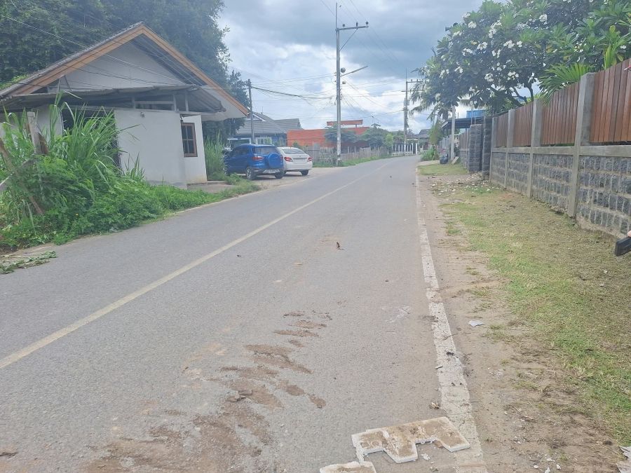 ขายที่ดิน - ขายที่ดินติดถนนตำบลสันผักหวานหางดงถมดินเรียบร้อย