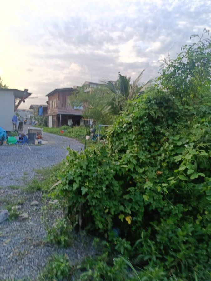 ขายที่ดิน - ขายที่ดินด่วนถนนเพชรเกษม 48 แยก 16 ราคาถูกมาก ใกล้รถไฟฟ้า