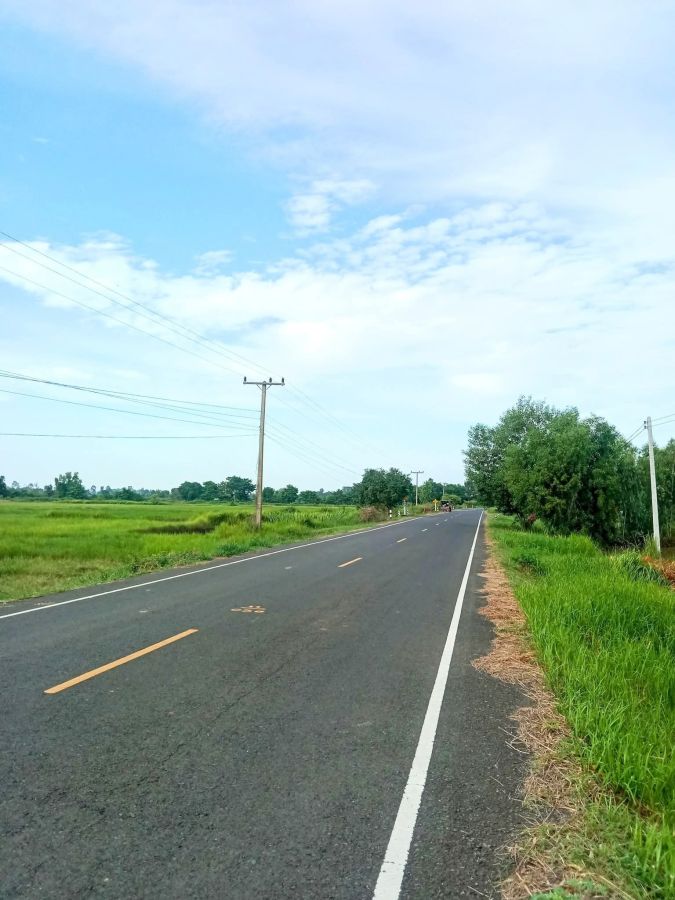 ขายที่ดิน - ที่นา ทำเลดี หน้าติดถนนสายหลัก หลังติดคลอง ราคาถูก