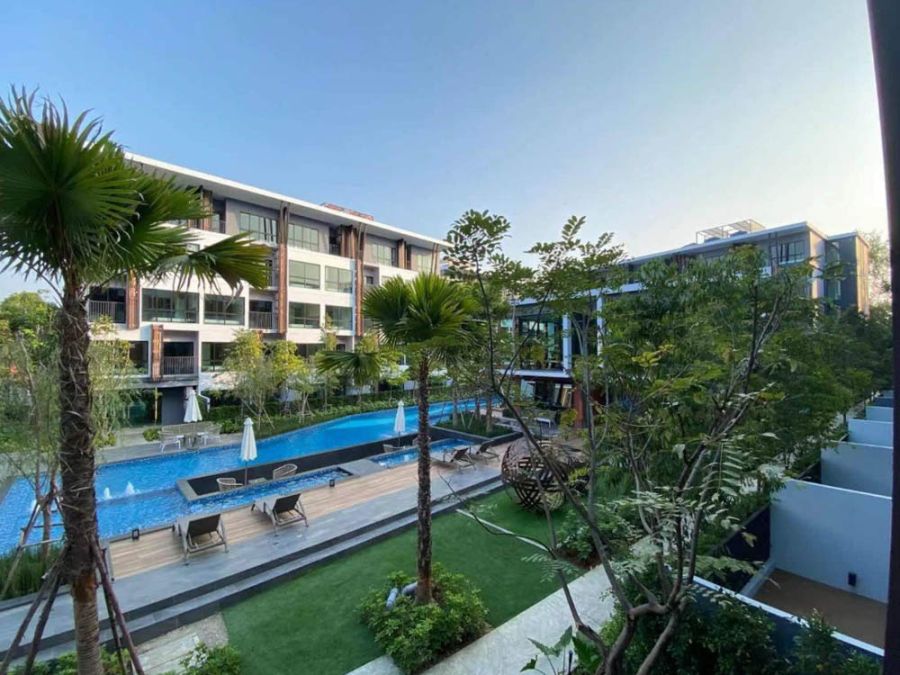 ให้เช่าคอนโด - Arise Condo มหิดล: ห้องสวย วิวสระ ทำเลทอง ใกล้สนามบินเชียงใหม่!