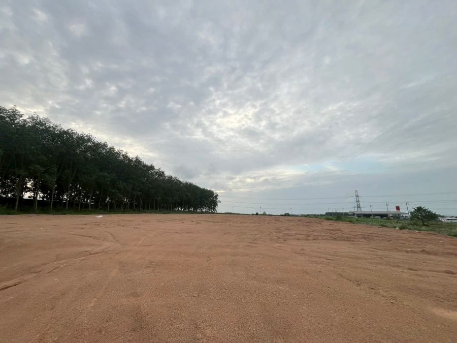 ขายที่ดิน - ขายที่ดินในเขตอุตสาหกรรม อ.ปลวกแดง จ.ระยอง