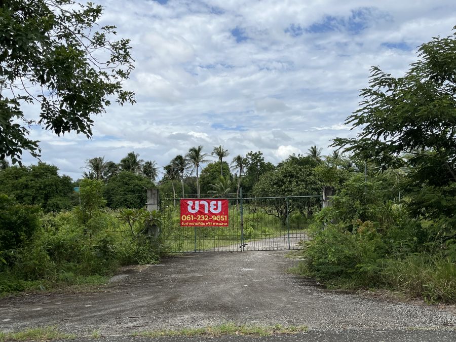 ขายที่ดิน - ขายที่ดิน อ.สามร้อยยอด ประจวบคีรีขันธ์ พร้อมบ้านชั้นเดียว ติดถนนทุ่งเคล็ด-บางหนองไทร