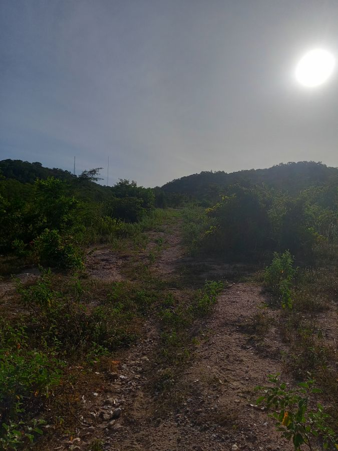 ขายที่ดิน - ขายที่ดินโฉนด 11 ไร่ 1 งาน 77 ตรว.บนเนิน วิวเขารอบ อยู่เขตเทศบาลหัวหิน