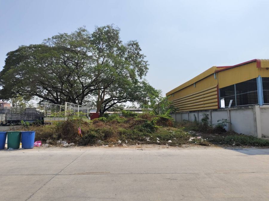 ขายที่ดิน - ที่ดิน ใกล้ตลาดไท ทำเลดี 200 ตร.วา ซอยเทพกุญชร 7 และเพียง 1 กม.จากถนนคลองหลวง