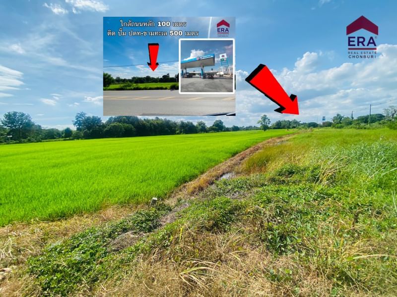 ขายที่ดิน - ขายที่ดินเปล่าแปลงใหญ่ ติดถนนหลัก ใกล้ถนนมิตรภาพ โคราช 4 ไร่ 48.3 ตรว.