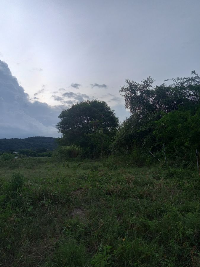 ขายที่ดิน - ขายที่ดินโฉนด 2 ไร่ ผังแปลงสวย ทําเลดี ใก้ลทะเลหัวหิน เหมาะทําอพาทเม้นท์ คอนโด โรงแรมฯ