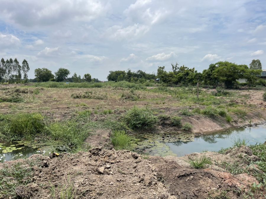 ขายที่ดิน - ขายบ้านพร้อมที่ดิน 11 ไร่ อ.บางไทร จ.อยุธยา