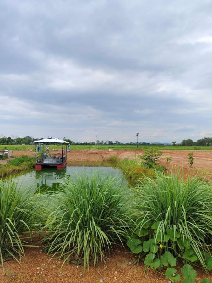 ขายที่ดิน - ขายที่ดินเปล่าถมแล้ว 1 ไร่ โฉนดครุตแดง 1.5 ล้านบาท ตำบลเวียงเหนือ อำเภอเวียงชัย เชียงราย เจ้าของขายเอง