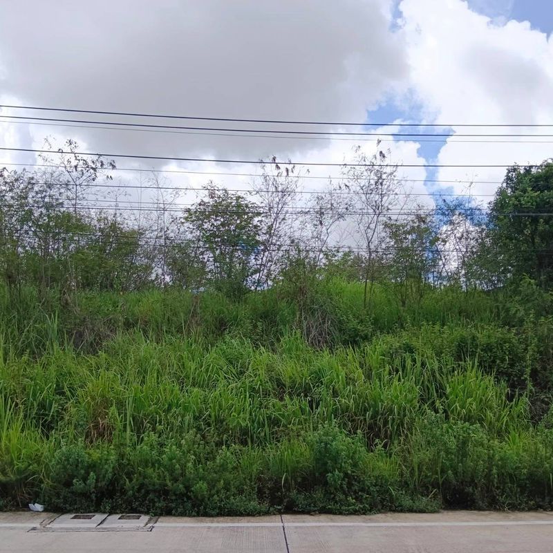 ขายที่ดิน - ขายที่ดินเปล่าแปลงสวย เขตเขาขยาย บ่อวิน ศรีราชา ชลบุรี