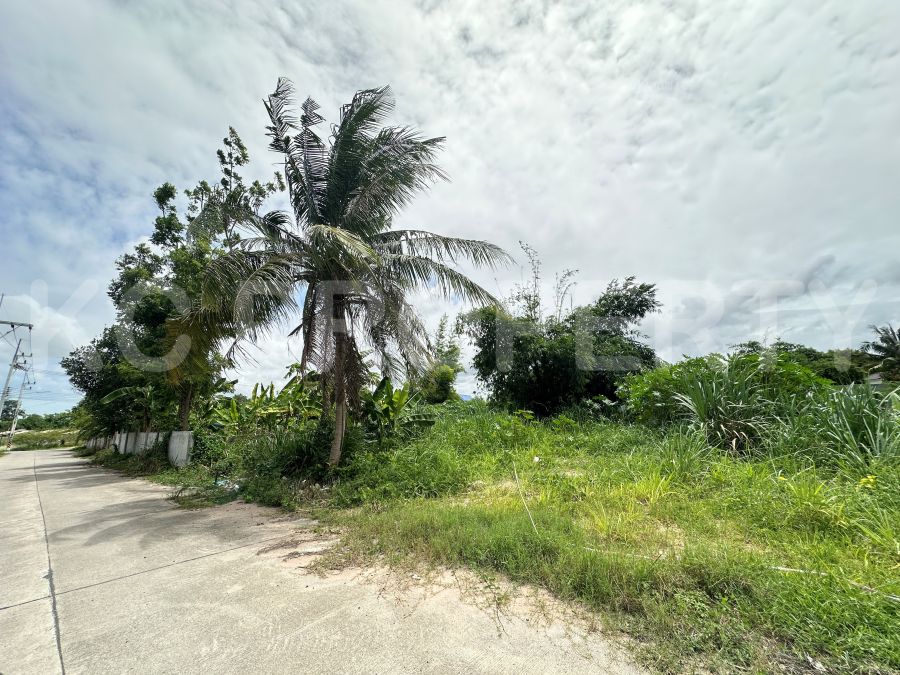 ขายที่ดิน - ขายด่วนถูกที่สุดที่ดิน 1ไร่ 312ตรว. ใกล้ถนนบึง-ปากร่วม ติดคอนกรีต สนใจติดต่อด่วน