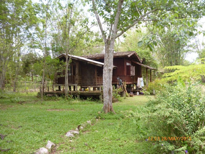 ขายบ้าน - ขายที่ดินพร้อม บ้านไม้สัก (รีสอร์ท) ใกล้ วัดถ้ำผาปล่อง วัดปากเปียง ติด ChiangdaoNestResort