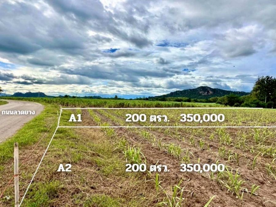 ขายที่ดิน - ขายที่ดินติดถ.ลาดยาง วิวเขา ปากช่อง จอมบึง ราชบุรี
