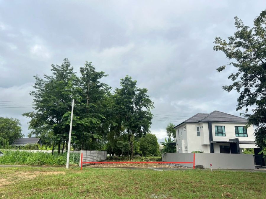 ขายที่ดิน - ขายที่ดินตำบลหนองจ๊อมสันทรายไฟฟ้าสามเฟสพร้อมโอน