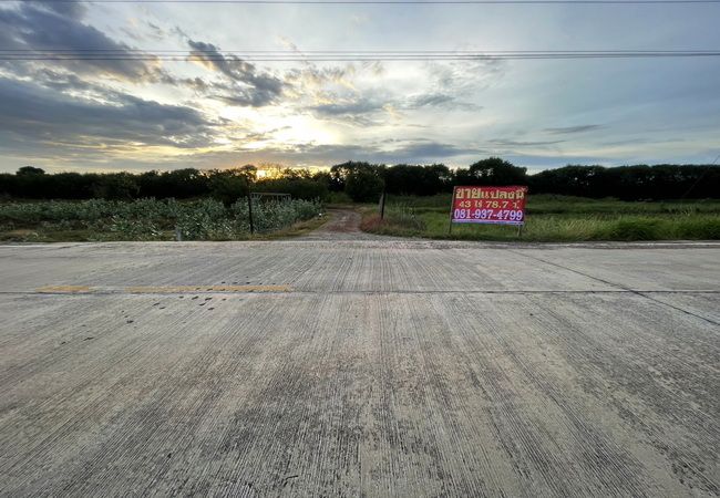 ขายที่ดิน - ขายที่ดิน ไทรน้อย นนทบุรี ถนนบางกรวย-ไทรน้อย เนื้อที่ 43-0-78 ไร่ ทำเลดี