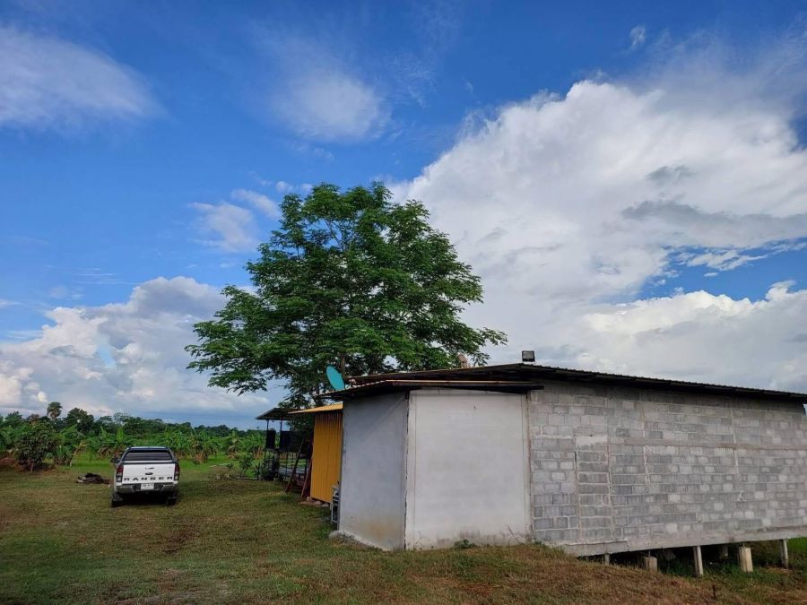 ขายที่ดิน - ขายที่ดินพร้อมสิ่งปลูกสร้าง อ.หนองเรือ จ.ขอนแก่น