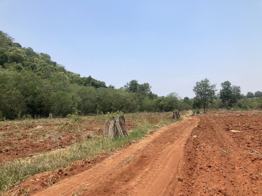 ขายที่ดิน - ขายที่ดินเขาใหญ่ ปากช่อง วิวเขา ใกล้7-Elevenเพีบง 4 กม. จ.นครราชสีมา