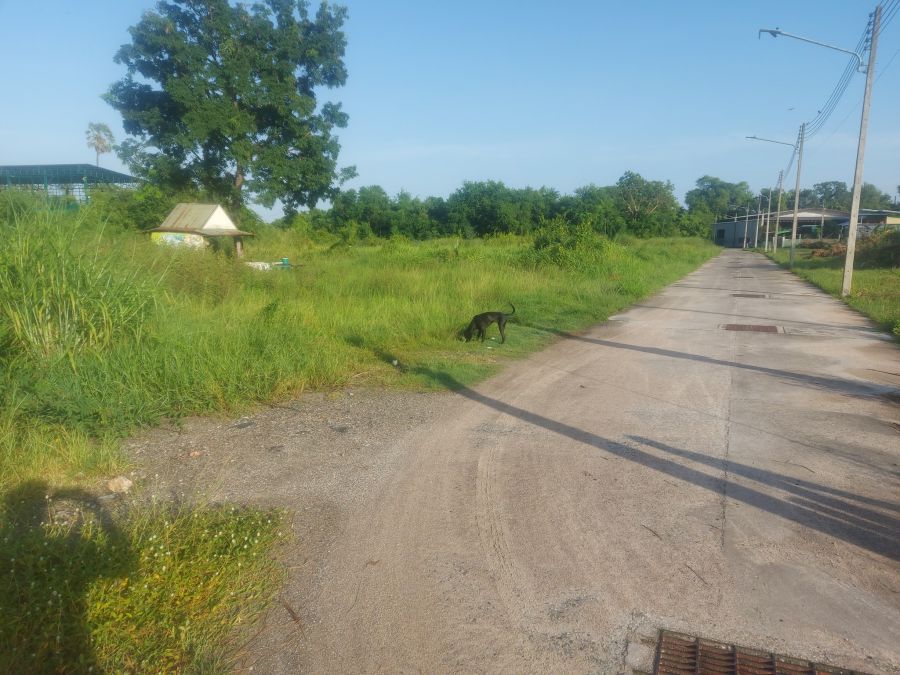 ขายที่ดิน - ขายที่ดินบ้านสวนซอย11 เนื้อที่ 1 ไร่ ใกล้วิวเขาใกล้ถนนบายพาส361-2กม. เมืองชลบุรี