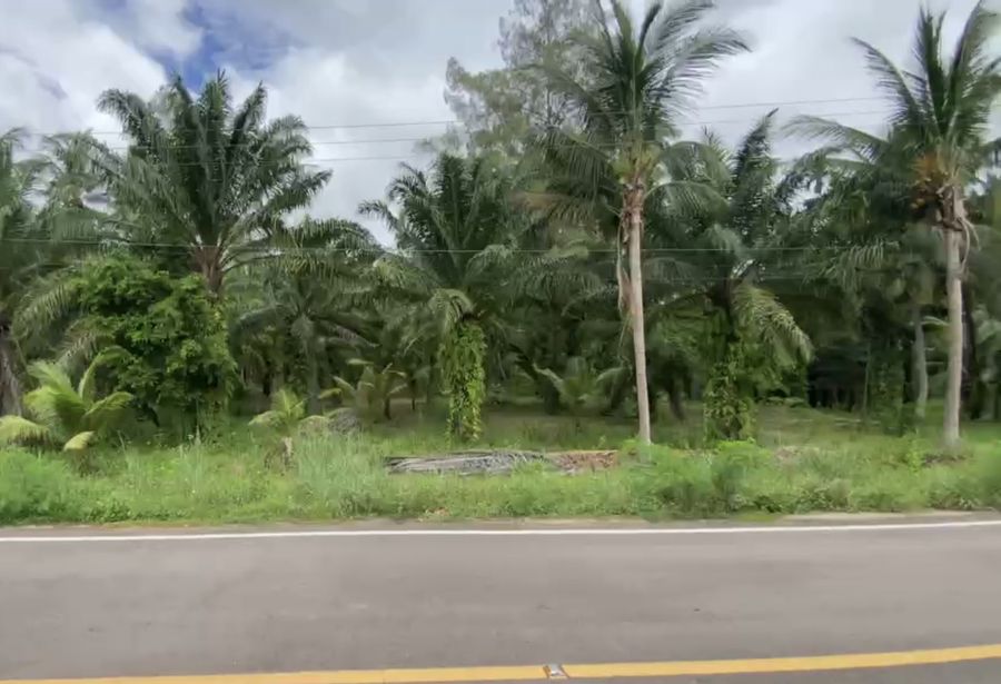 ขายที่ดิน - แบ่งขายที่ติดถนนลาดยางหลักไปสนามบินชุมพร ปะทิว 1 ไร่ หน้ากว้าง เสมอถนน