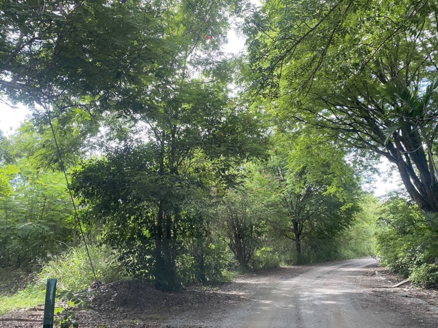 ขายที่ดิน - ขายที่ดินเขาใหญ่ โครงการวอเตอร์วีลพาร์คเขาใหญ่ ใกล้มอเตอร์เวย์และถนนธนะรัชต์เพียง 5 กม.