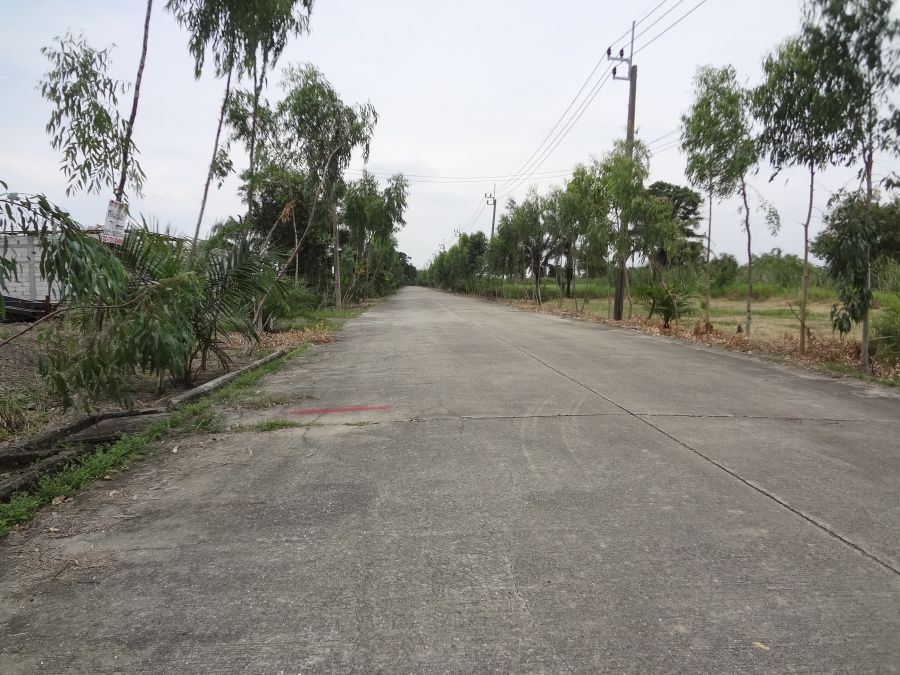 ขายที่ดิน - ที่ดินถมแล้วซอยสุวินทวงศ์47หนองจอกพื้นที่112ตารางวา ใก้ลสวนกีฬาFBT,สนามกอล์ฟซิลเวอร์ เลควิลล์ เข้าซอยเพียง1กม.เหมาะปลูกบ้านลงสิ่งปลูกสร้างได้เลย,โกดัง