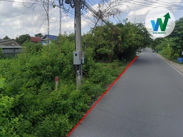 ขายที่ดิน - ขายที่ดิน 360 ตร.ว. ติดถนนคอนกรีต คลองสาม คลองหลวง เหมาะลงทุน