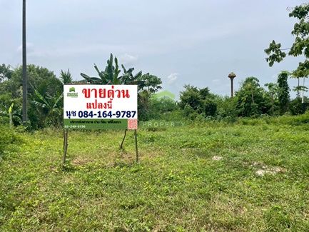 ขายที่ดิน - ขายที่ดินปากพูน นครศรีธรรมราช เนื้อที่ 44.90 ตร.ว แปลงสวย ทำเลดี ใกล้ค่ายวชิราวุธ