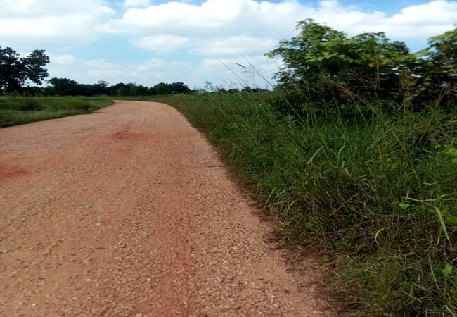 ขายที่ดิน - ขายที่ดิน บ้านยางเครือ ตำบลกุดน้ำใส อำเภอจัตุรัส ชัยภูมิ เนื้อที่ 16-1-31 ไร่