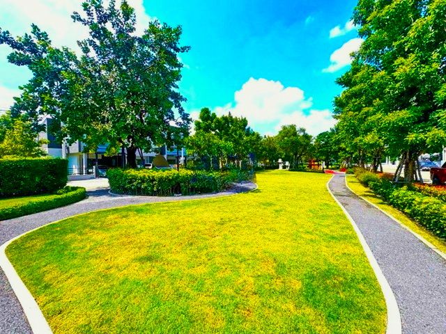 ให้เช่าทาวน์เฮาส์ - ติดเมกาบางนา นานาชาติสิงคโปร์1.8 กม.ทำเลดี พลีโน่ สุขุมวิท-บางนา ให้เช่าทาวน์โฮมพรีเมียม 2 ชั้นทำเลดี ช้อปปิ้ง v