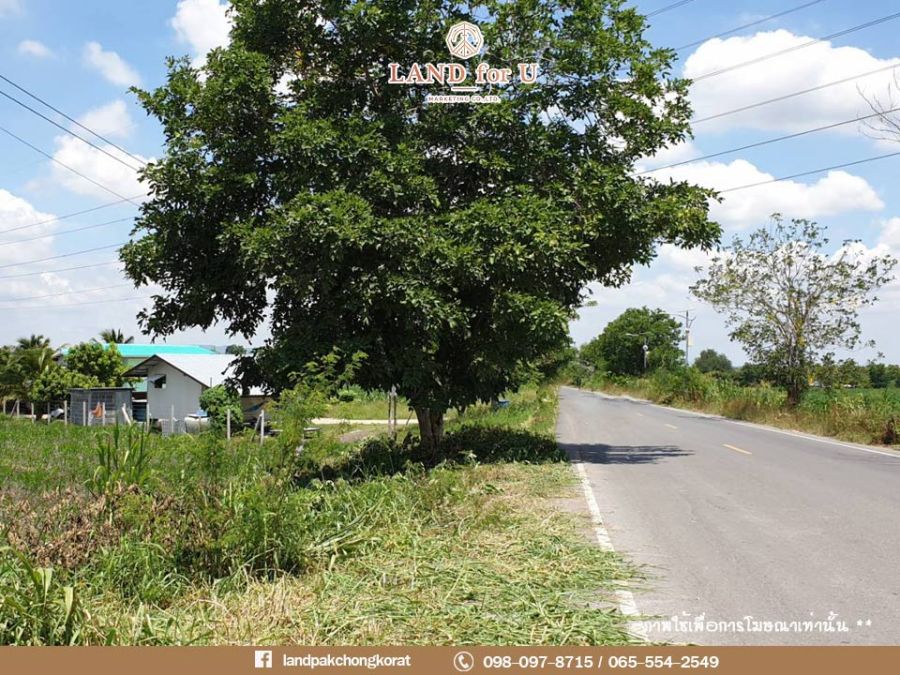 ขายที่ดิน - ขายที่ดินสระบุรี วิวเขา ติดถนน ทำเลดีมาก ต.วังม่วง อ.วังม่วง จ.สระบุรี