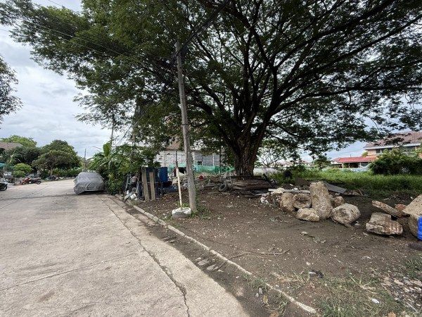 ขายที่ดิน - ขายที่ดินซอยท่าอิฐ (รหัสทรัพย์ 202528) ต.ท่าอิฐ อ.เมืองนนทบุรี จ.นนทบุรี