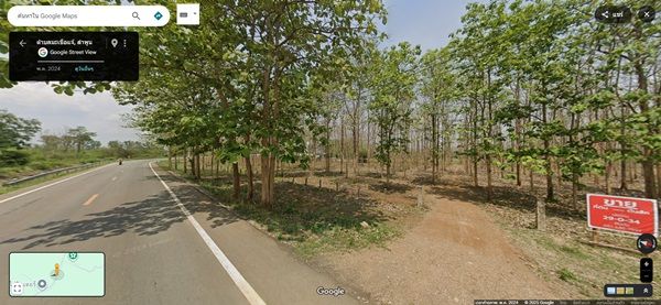 ขายที่ดิน - ด่วน! โอกาสทองสำหรับนักลงทุน ที่ดิน 29 ไร่ พร้อมสวนสักอายุ 12 ปี ใกล้เมืองลำพูน