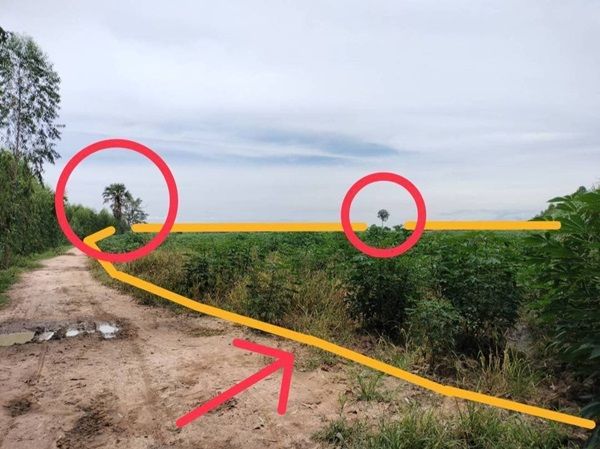 ขายที่ดิน - ขายที่ดิน ซอย บ้านหนองไทร ต.บ้านไร่ อ.ลาดยาว จ.นครสวรรค์ 34 ไร่ โฉนดครุฑแดง เจ้าของขายเอง