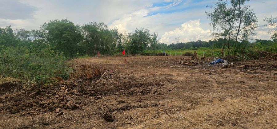 ขายที่ดิน - Vายด่วนที่ดินคลอง 8 เนื้อที่ 100 ตรว. หนองเสือ ปทุมธานี