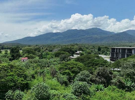 ขายบ้าน - บ้านหลังใหญ่สไตล์ล้านนาประยุกต์ วิวภูเขา 3-3-0 ไร่ ติดถนนสาธารณะ ใกล้โรงแรม Four Season แม่ริม เชียงใหม่