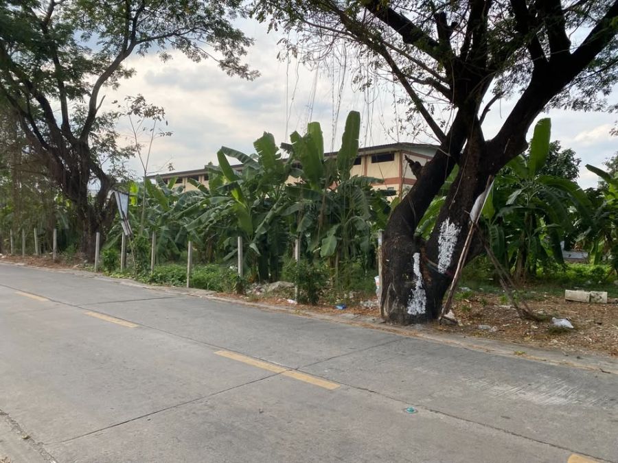 ขายที่ดิน - ขายที่ดินทำเลทอง แปลงสวย 396 ตรว รามอินทรา 58 ใกล้รถไฟฟ้าBTS สินแพทย์