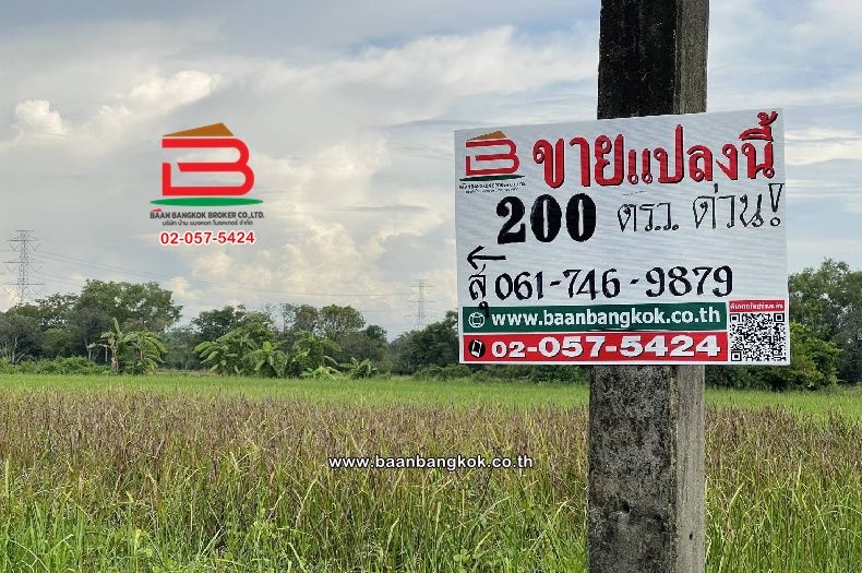 ขายที่ดิน - ที่ดินเปล่า ซอยเฉลิมกิจ (เลียบคลอง12) เนื้อที่ 200 ตร.ว ใกล้มัสยิดอิกอมาตุ้ล ตำบลหนองสามวัง อำเภอหนองเสือ ปทุมธานี