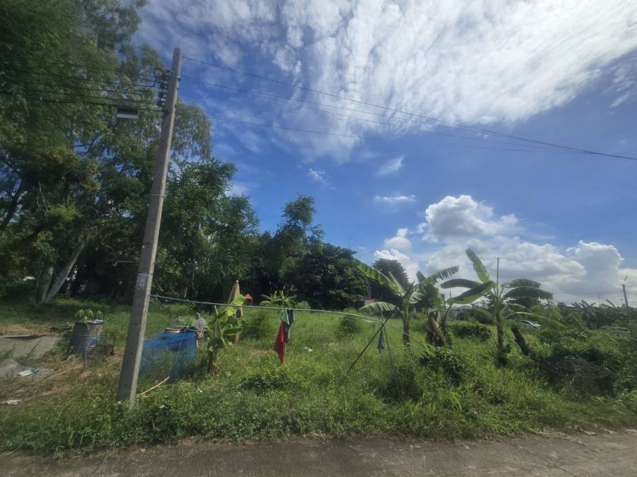 ขายที่ดิน - ขายด่วน ที่ดินเปล่า ปากเกร็ด นนทบุรี ใกล้แหล่งชุมชน เนื้อที่ 1-1-3.3 ไร่ ใกล้ทางด่วนศรีรัช แจ้งวัฒนะ ราคาดีต่อรองได้