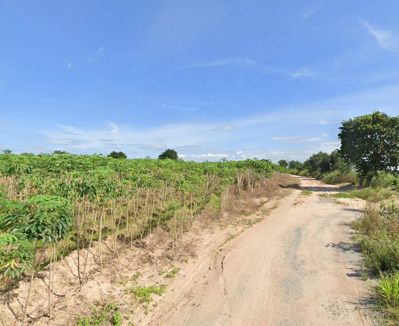 ขายที่ดิน - ขายที่ดินมาบบอนบ่อวิน ศรีราชา 23 ไร่ ใกล้ท่าเรือแหลมฉบัง-21กม.ใกล้ถนนเส้น331-1.6กม. จ.ชลบุรี