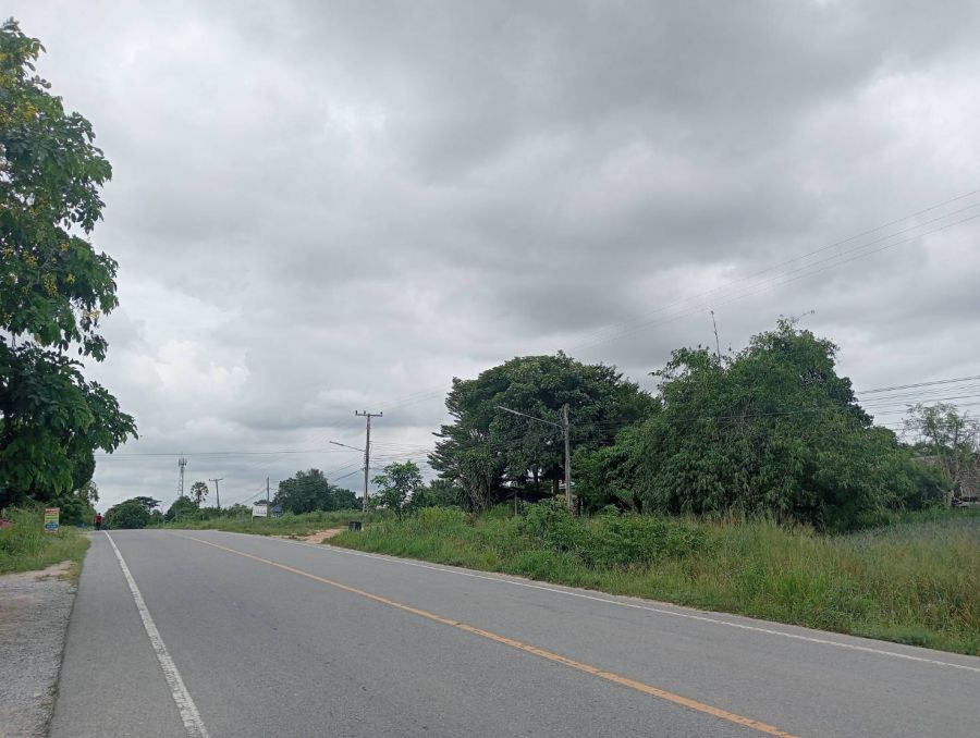 ขายที่ดิน - ขายที่ดินนิคมพัฒนา ระยอง 24-0-85 ไร่ ผังสีม่วงลาย ติดถนนซอย 13 (3376) ใกล้นิคมอมตะซิตี้ เหมาะทำโรงงาน