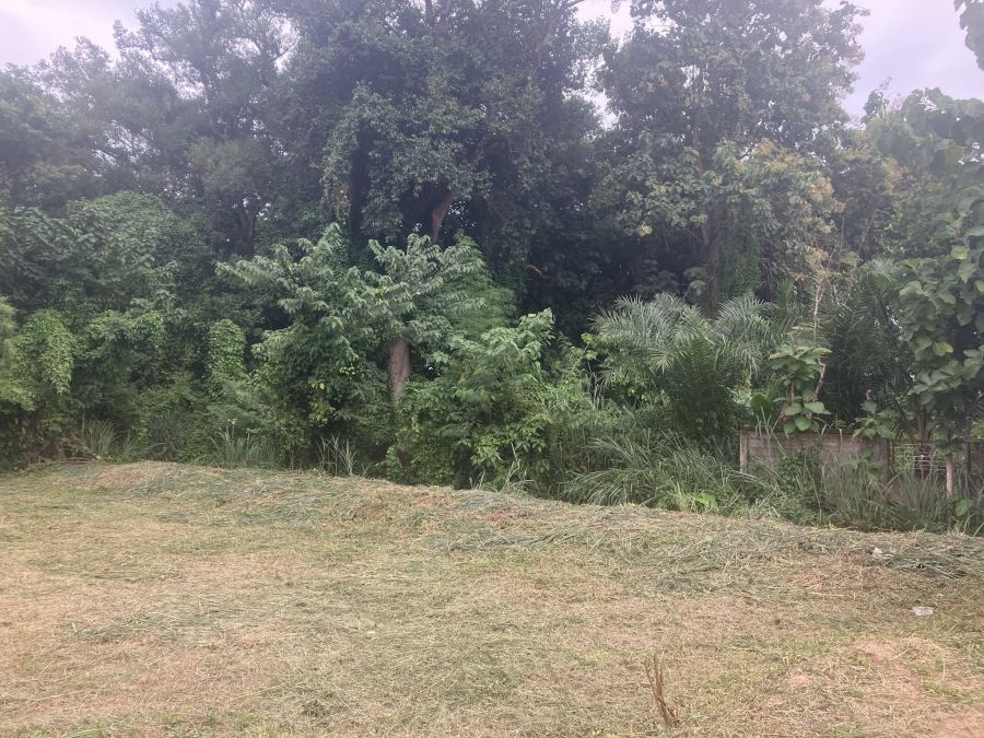 ขายที่ดิน - ที่ดินสำหรับสร้างบ้านหลังเกษียณในฝัน! ราคา 3 ล้านบาท (145 ตารางวา) ใกล้เมืองเชียงใหม่เพียง 9 กม.