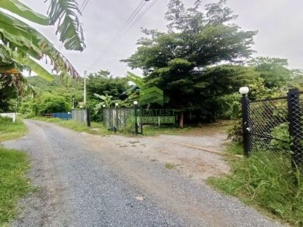 ขายที่ดิน - ขายที่ดิน 1 ไร่ ดอนคา อู่ทอง สุพรรณบุรี แปลงสวย ทำเลดี เหมาะปลูกบ้านพักอาศัย สวนเกษตร น้ำไฟพร้อมทำประโยชน์