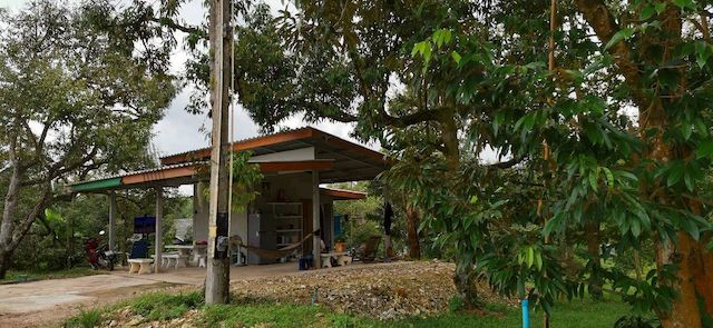 ขายที่ดิน - ที่ดินพร้อมสวนทุเรียน ขนาด 4 ไร่ 127.1 ตร.วา สามารถดำเนินกิจการต่อได้ทันที ต.สองสลึง อ.แกลง ระยอง