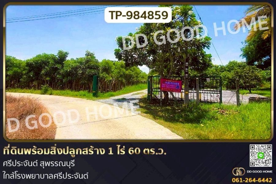 ขายที่ดิน - ที่ดินพร้อมสิ่งปลูกสร้าง 1 ไร่ 60 ตร.ว. ศรีประจันต์ สุพรรณบุรี ใกล้โรงพยาบาลศรีประจันต์