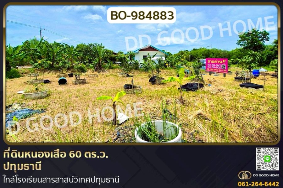 ขายที่ดิน - ที่ดินหนองเสือ 60 ตร.ว. ปทุมธานี ใกล้โรงเรียนสารสาสน์วิเทศปทุมธานี