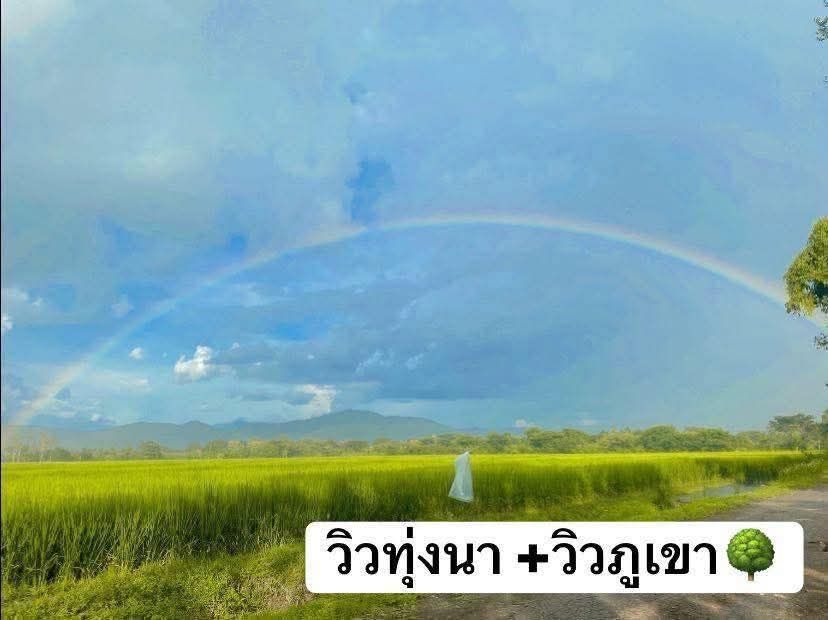 ขายที่ดิน - ขายที่ดินตำบลสันกำแพงวิวน้ำติดลำห้วยโฉนดพร้อมโอน