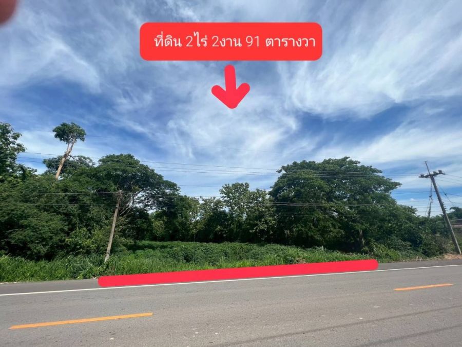 ขายที่ดิน - ขายที่ดินเปล่า หนองปลาปาก จังหวัดหนองคาย