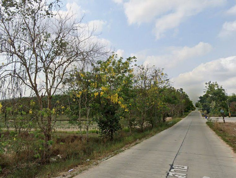 ขายที่ดิน - ขายที่ดินมาบข่า นิคมพัฒนา 31 ไร่ ซอย3สาย13 ใกล้นิคมปิ่นทอง6-5กม. จ.ระยอง