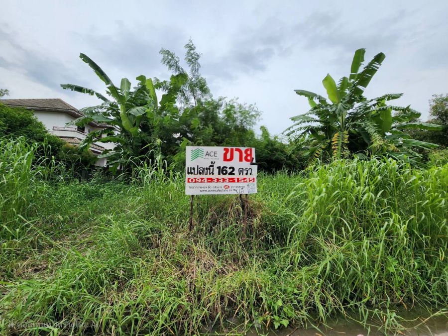 ขายที่ดิน - ด่วน!ขายถูกกว่าราคาประเมิณ! ที่ดินเปล่าเมืองเอก ทำเลทอง อยู่หลังตลาดสัมมากรเมืองเอกเพียง 500เมตร ขนาด 162 ตรว. รูปแปลงสวย